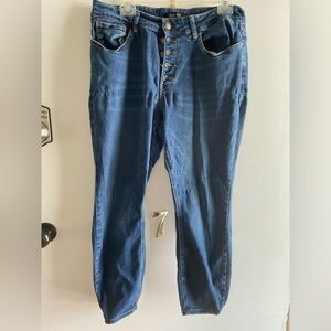 Judy Blue Women Blue Jeans - size 16w